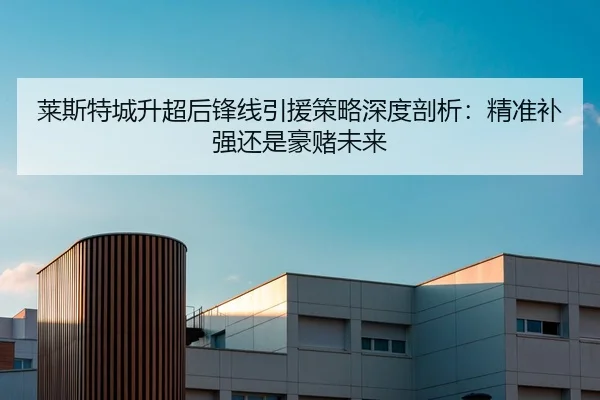 莱斯特城升超后锋线引援策略深度剖析：精准补强还是豪赌未来