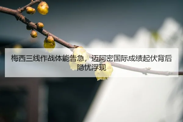 mei-xi-san-xian-zuo-zhan-ti-neng-gao-ji-mai-a-mi-guo-ji-cheng-ji-qi-fu-bei-hou-yin-you-fu-xian-3-301.jpg