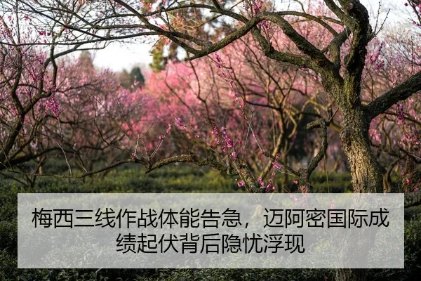 梅西三线作战体能告急，迈阿密国际成绩起伏背后隐忧浮现