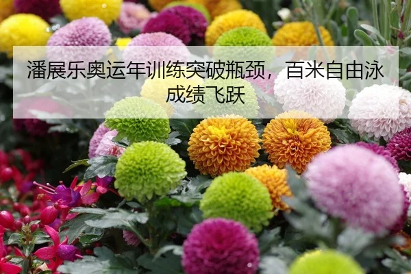 潘展乐奥运年训练突破瓶颈，百米自由泳成绩飞跃