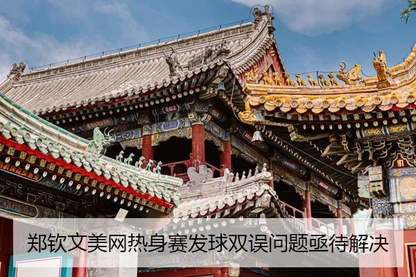 zheng-qin-wen-mei-wang-re-shen-sai-fa-qiu-shuang-wu-wen-ti-ji-dai-jie-jue-3-441.jpg