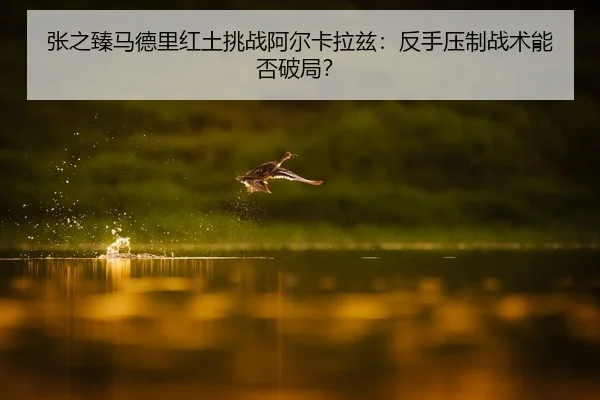 张之臻马德里红土挑战阿尔卡拉兹：反手压制战术能否破局？