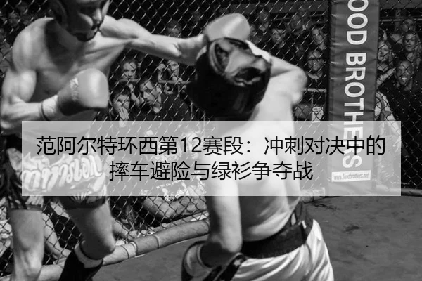 fan-a-er-te-huan-xi-di-sai-duan-chong-ci-dui-jue-zhong-de-shuai-che-bi-xian-yu-lv-shan-zheng-duo-zhan-2-652.jpg