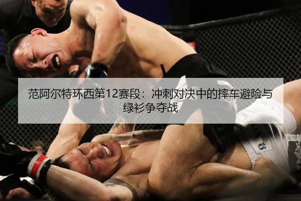 fan-a-er-te-huan-xi-di-sai-duan-chong-ci-dui-jue-zhong-de-shuai-che-bi-xian-yu-lv-shan-zheng-duo-zhan-3-464.jpg