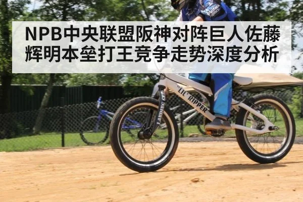 NPB中央联盟阪神对阵巨人佐藤辉明本垒打王竞争走势深度分析